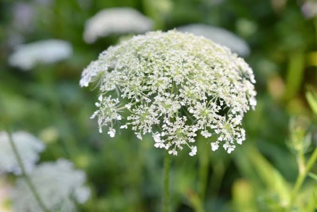 images - 2026-08-30T151411.284