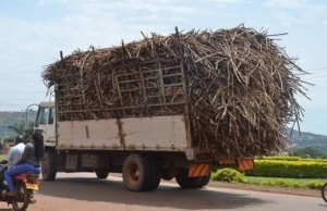 Kiira Police Bust Gang Robbing Madhvani Sugarcane Suppliers, 5 Arrested.